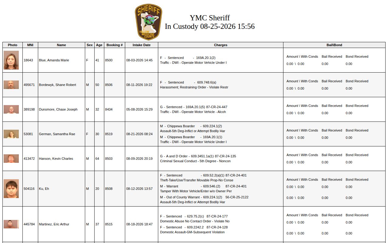 Big Stone County regional custody report with official Yellow Medicine booking fields